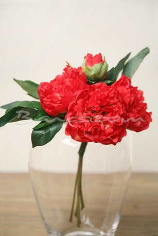 images/virtuemart/category/m/50003
