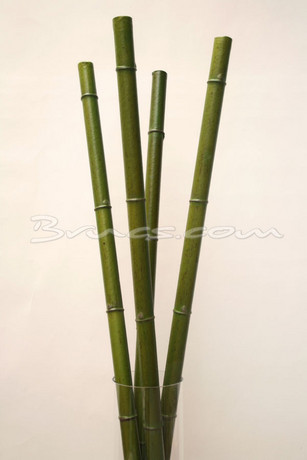 images/virtuemart/category/m/50008