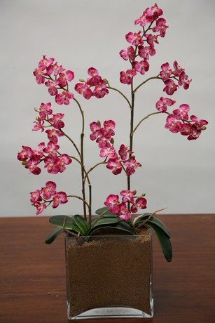 images/virtuemart/category/m/50099
